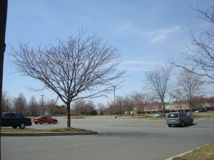 Asphalt desert of unoccupied parking