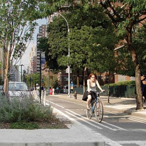 Are women cyclists an 'indicator species' for alternative transportation?