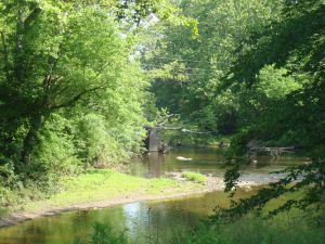Stony Brook vista in Princeton (Click to expand.)