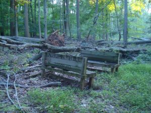 These benches built by the Scouts of Troop 43 are rotting away and slowly falling apart in the wild environment of Autumn Hills Reservation (click to expand.)