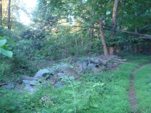 Disintegrating stone wall in Autumn Hills Reservation. (click to expand.)