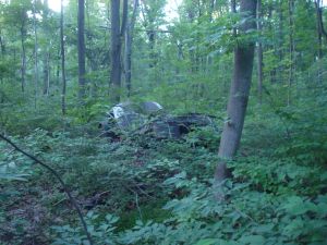 Broken-down vintage car in Autumn Hills Reservation. (click to expand.)