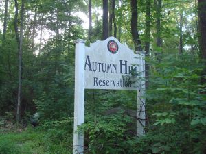 Princeton's Autumn Hill Reservation is one of our largest natural green spaces. (Click to expand.)
