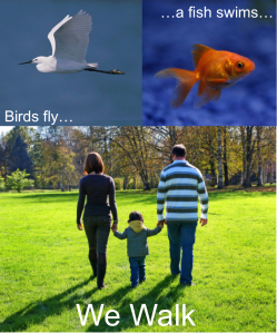 Walking is an entirely natural extension of being a human being, so making it easier for people to walk is adding dignity to humans. (Concept from Gil Penalosa's presentation at New Brunswick Ciclovia - Click to expand.)