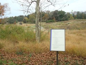 Signs in the D&R Greenway display poetry to complement the natural setting. (click to expand