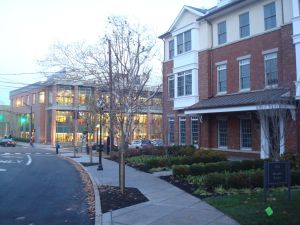 New sidewalk and trees at Paul Robeson Place. (click to expand.)