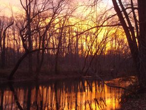 View of the D&R Canal from the towpath trail in Princeton, near Alexander Road. (click to expand.)