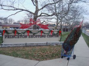 Who needs a car to move a Christmas tree? (click to expand.)