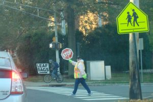A crossing guard in the line of duty at Mount Lucas and Valley Road in Princeton. (click to expand.)