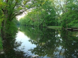 The D&R Canal near Princeton. (Click to expand.)
