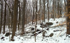 Council Rock in Woodfield Reservation. (Click to expand.)