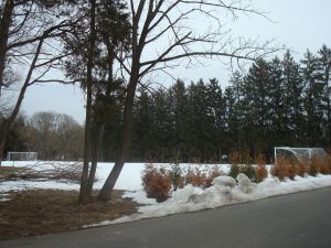 Suburban amenities of Princeton's Western Section are not enough to hold Nobel laureate Alan Krugman. (Click to expand,)