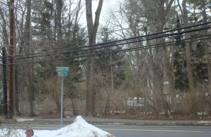 Krugman may yearn for Zabars in the Village, but Rosedale Road offers several good-sized trees, telephone wires AND a red fire hydrant. (Click to expand.)
