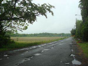 Maneely property, seen from Old Bear Brook Rd. (click to expand.)