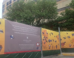 Hoardings covered with drawings by local kids surround the old Princeton Hospital on Witherspoon Street as asbestos removal takes place. (click to expand.)
