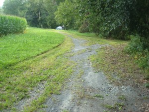 Existing gravel path shows that a surface such as this tends to deteriorate quickly. (click to expand.)