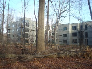 Trees surrounding Copperwood apartments. (click to expand.)