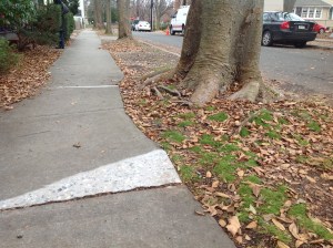 Smoothed sidewalk in Princeton, December 2014. (click to expand.)