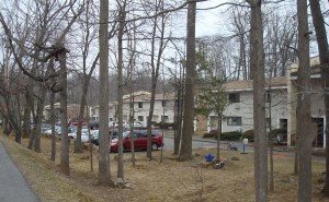 Affordable housing at Princeton Community Village, off Bunn Drive. (click to expand)