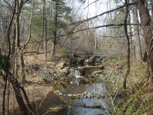 Scenic beauty in Princeton's  Woodfield Reservation, April 13, 2014. (click to expand.)