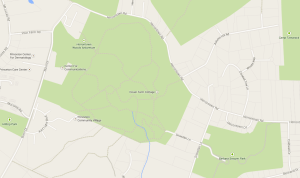 Newly-annotated trails in Herrentown Woods, in north-east Princeton. (click to expand).