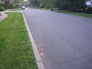 Red dashed lines indicate proposed traffic calming measures on Prospect Avenue. Following neighborhood opposition, they will no longer be built. (click to expand).