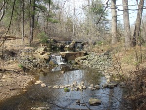 Preserved woodland and wetlands in Princeton's Woodfield Reservation. (click to expand)