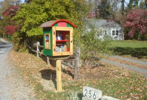 "Little Free Library of Snowden Farms" (click to expand).