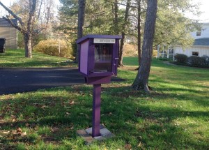 Another Little Free Library at Leabrook Lane and Linden Circle in Princeton (click to expand).