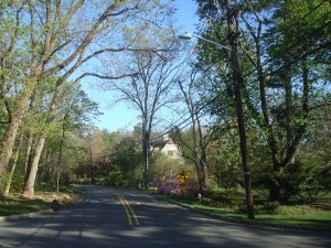 Three new streetlights were recently installed on Edgerstoune Rd. But some residents are calling for a sidewalk. (click to expand)