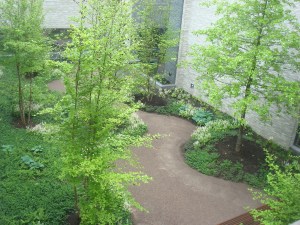 Interior courtyard of the Andlinger Center, with walking path (click to expand)