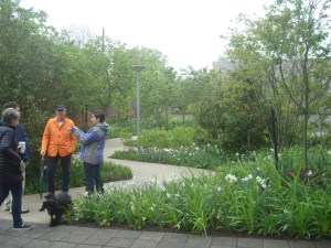 Walking paths on the Princeton 'Jane Jacobs Walk'. (click to expand)